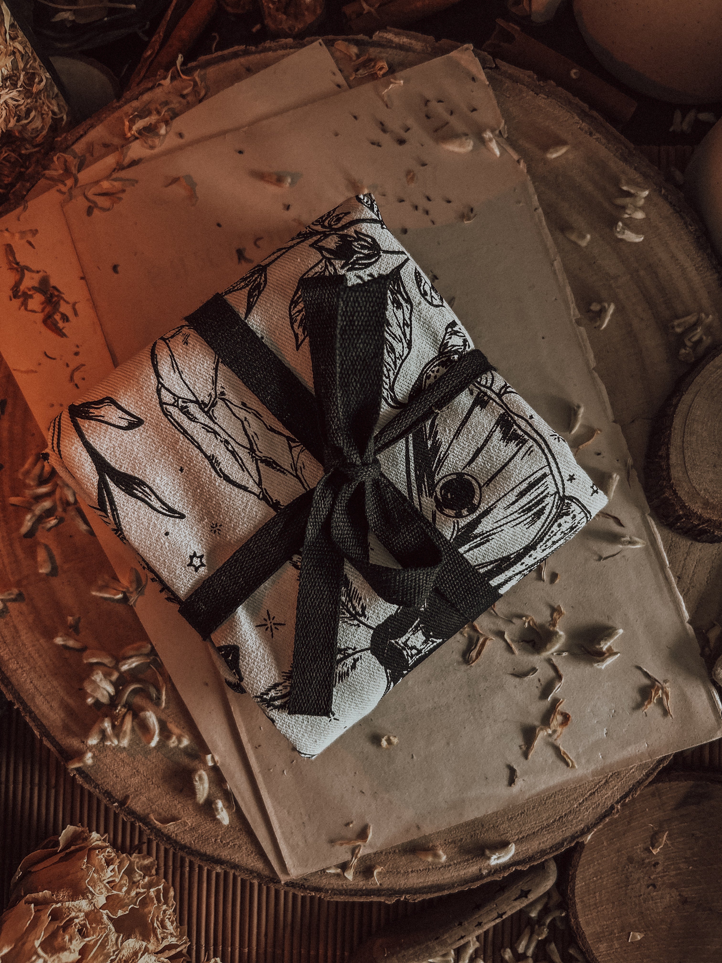 May 2026 Witch Casket