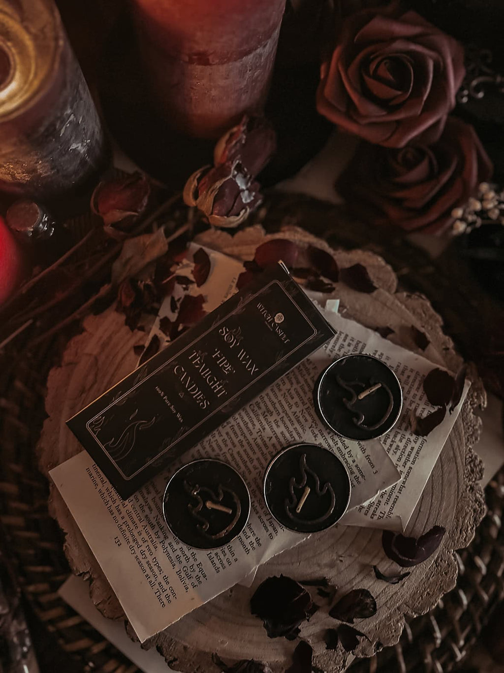 November 2025 Witch Casket