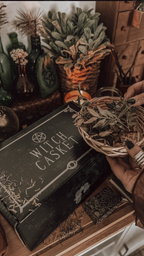 Monthly Witch Casket Subscription