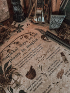 July 2026 Witch Casket