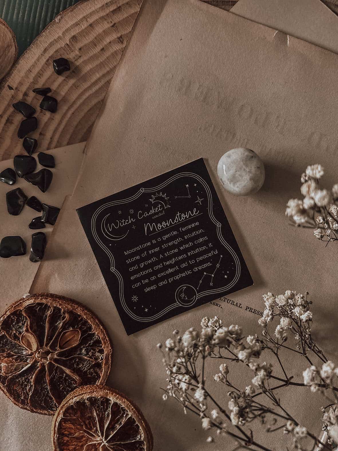 June 2025 Witch Casket