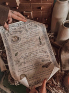 December 2025 Witch Casket