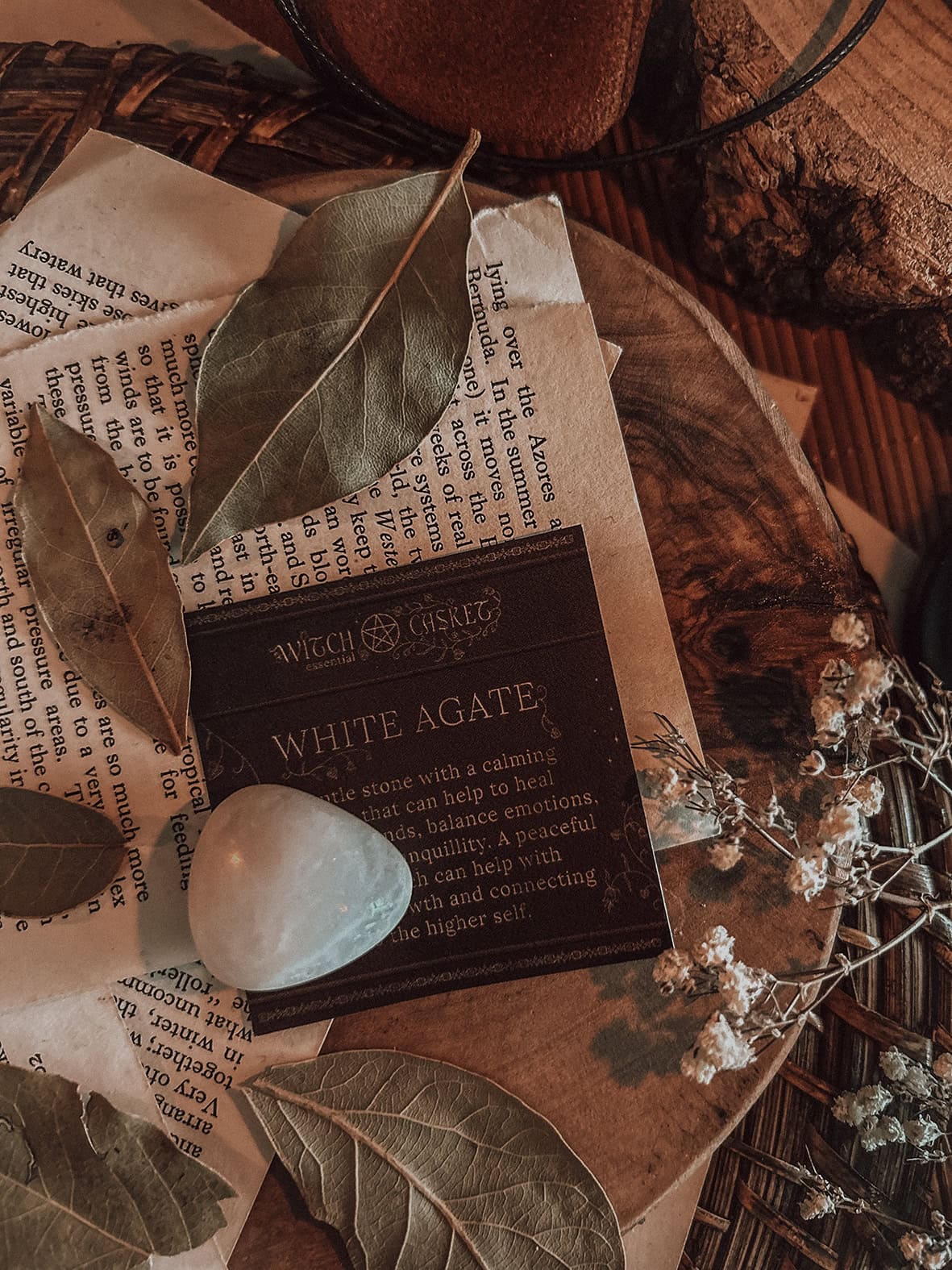 August 2025 Witch Casket