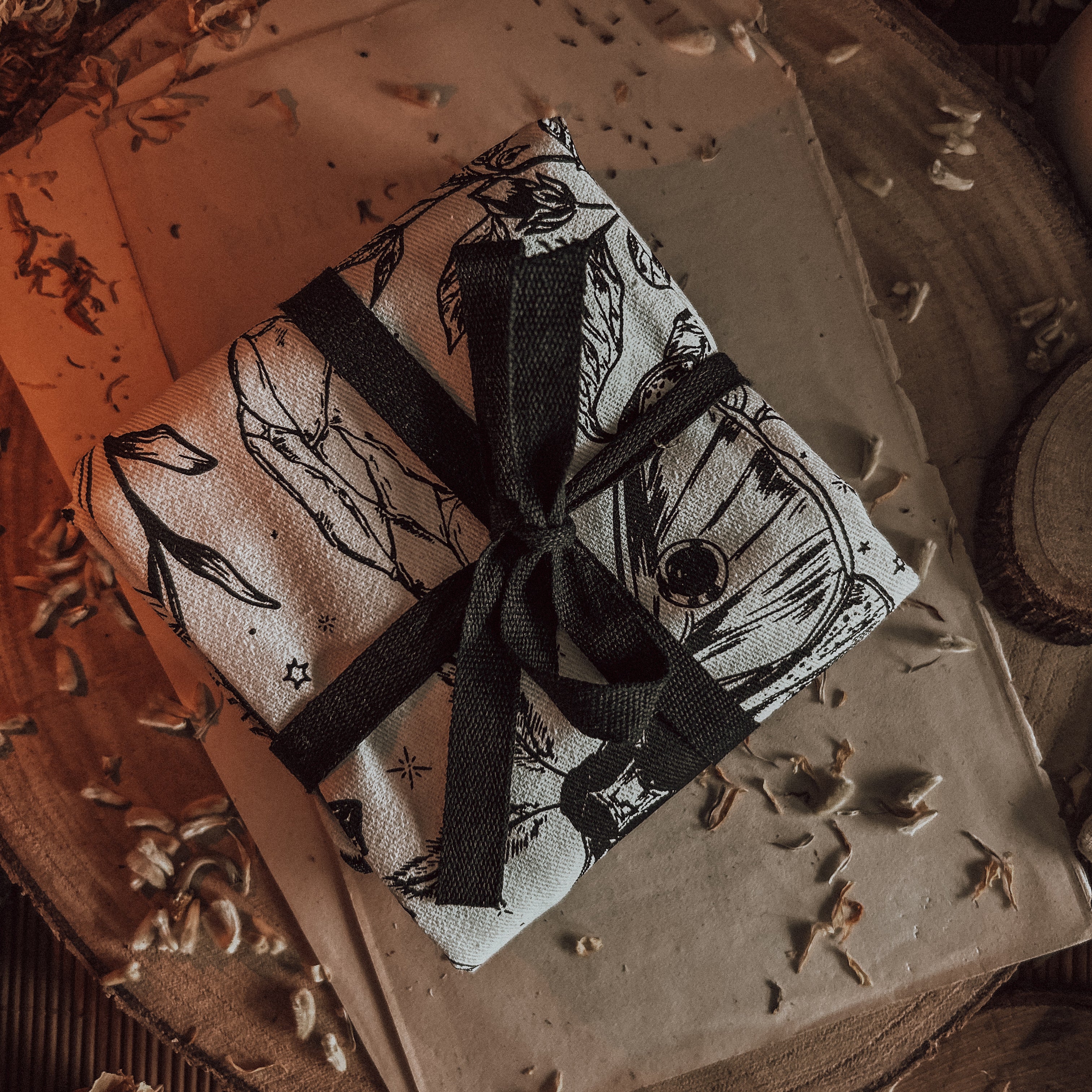 May 2026 Witch Casket